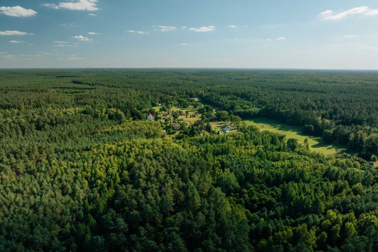 Działka rekreacyjna Sitnica. Zdjęcie 8