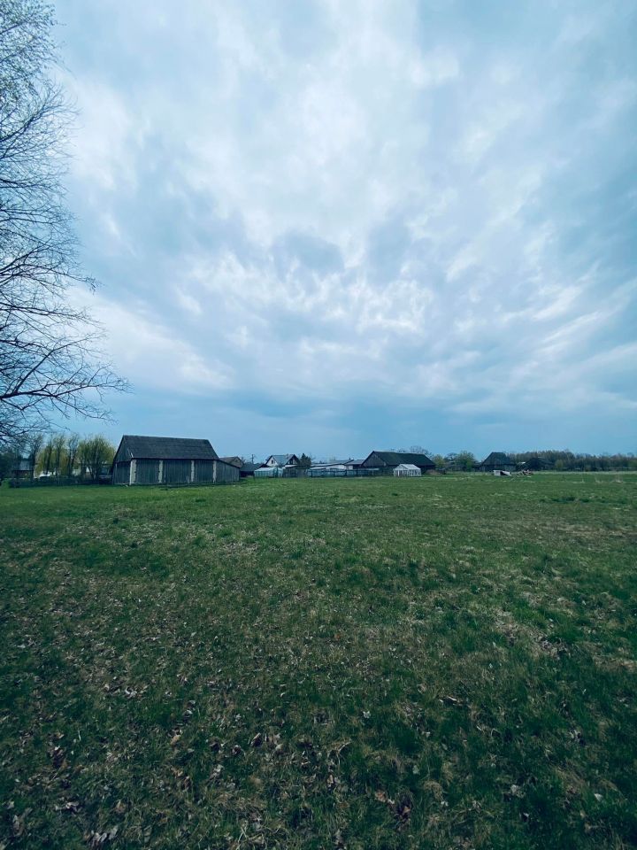 Działka siedliskowa Orzeszkowo Olszyna. Zdjęcie 2