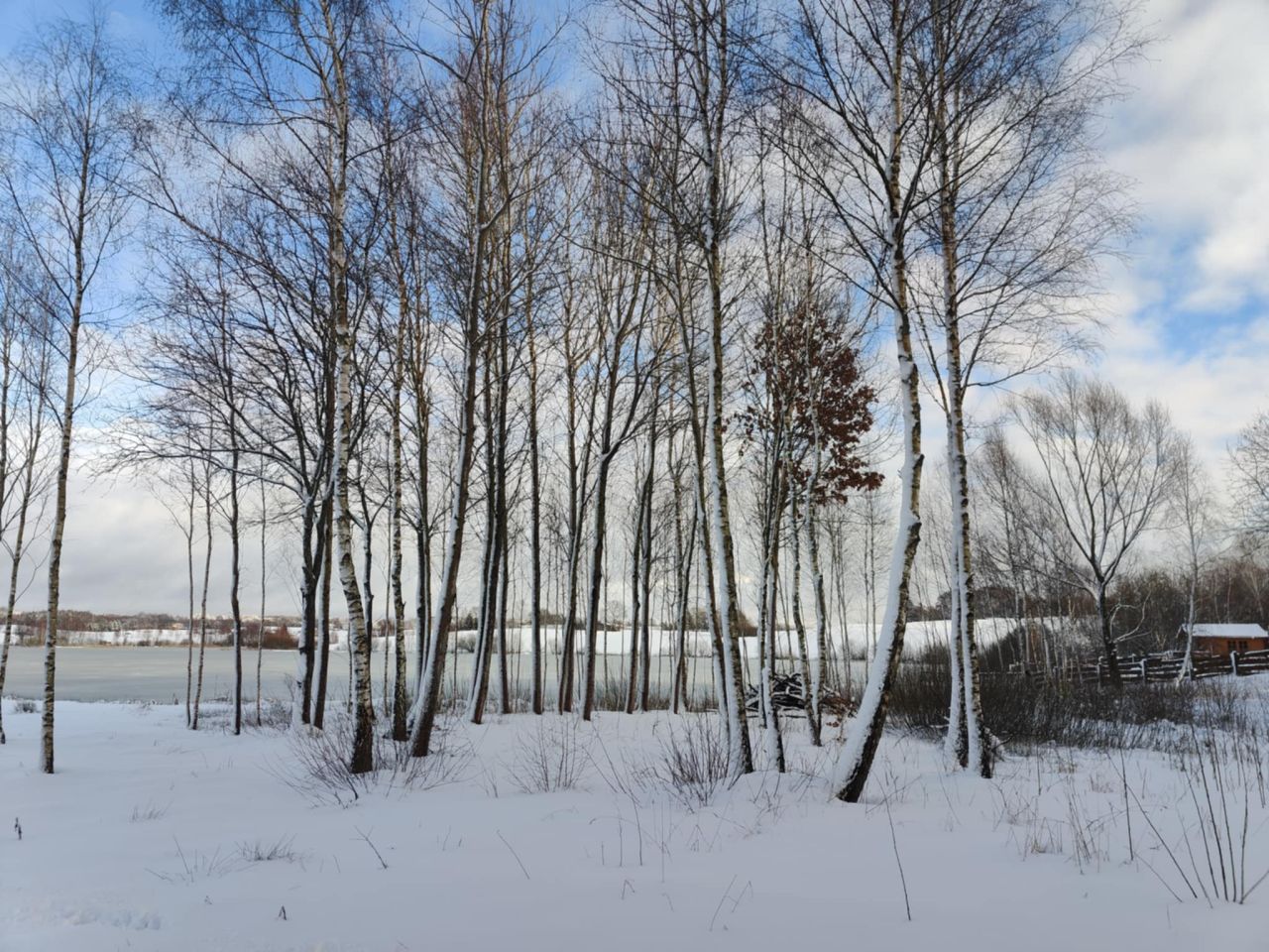 Działka budowlana Przęsin. Zdjęcie 8