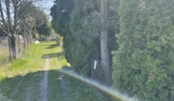 Działka rod Szałe, ul. Wiśniowa