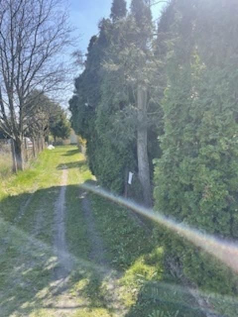 Działka rod Szałe, ul. Wiśniowa