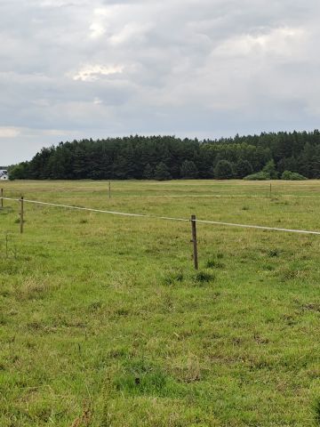 Działka siedliskowa Kęsza. Zdjęcie 9