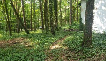 Działka budowlana Zalesie Górne, ul. Leszczynowa