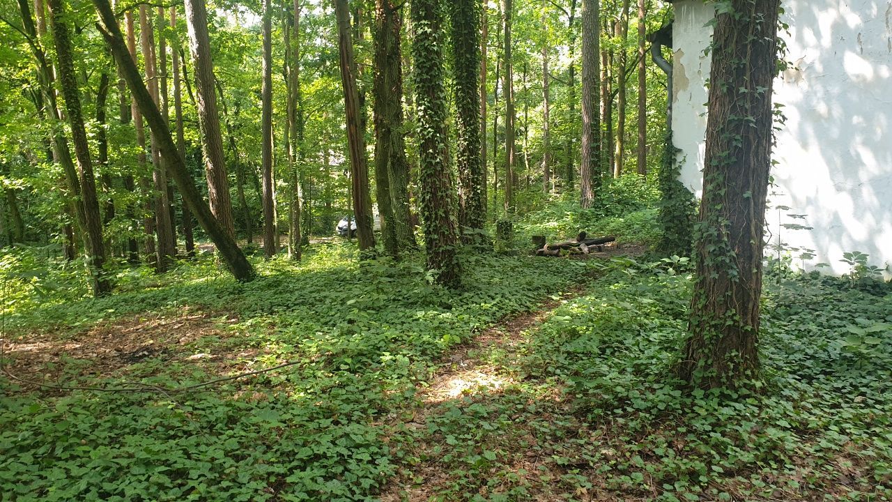 Działka budowlana Zalesie Górne, ul. Leszczynowa