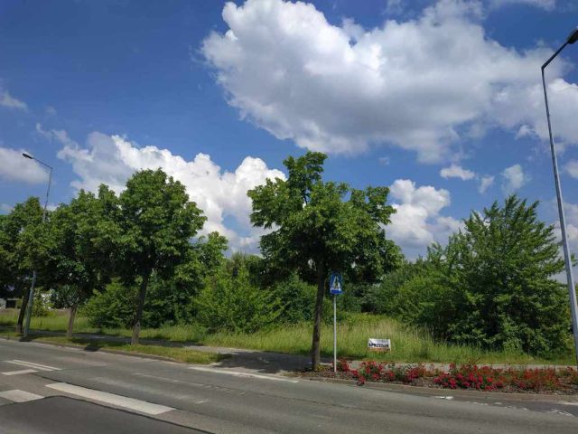 Działka budowlana Łuszczanowice. Zdjęcie 1