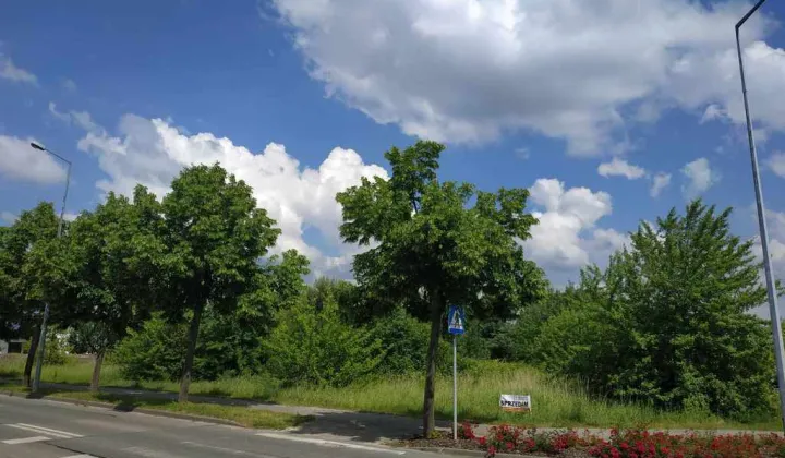 Działka budowlana Łuszczanowice