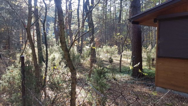 Działka budowlana Radzymin Rejentówka, ul. Zygmunta Wróblewskiego. Zdjęcie 3