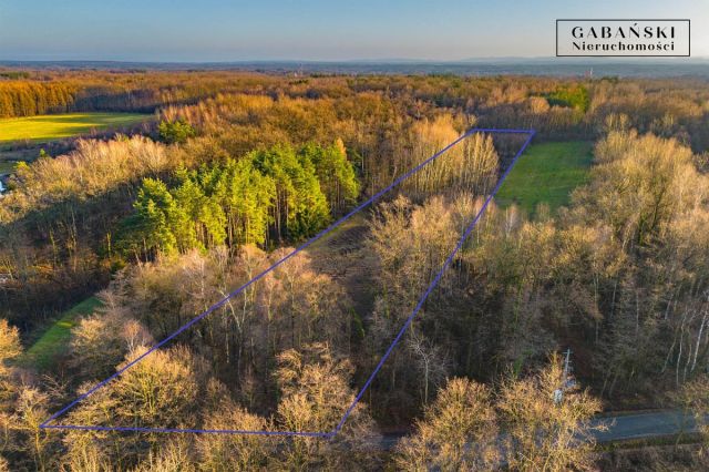 Działka budowlana Zaczarnie. Zdjęcie 5