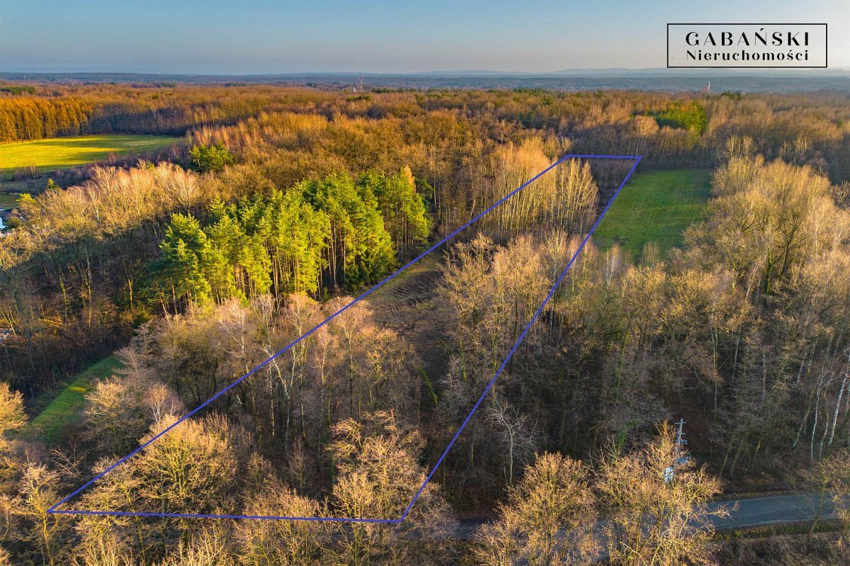 Działka budowlana Zaczarnie. Zdjęcie 5