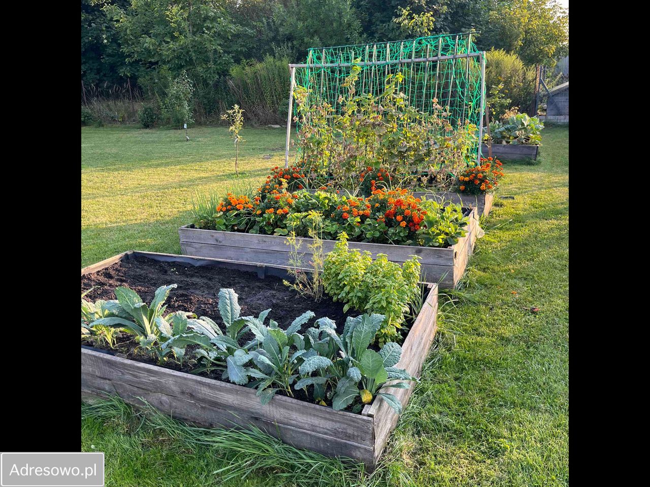 dom wolnostojący, 4 pokoje Chełm, ul. Stanisława Wyspiańskiego. Zdjęcie 14