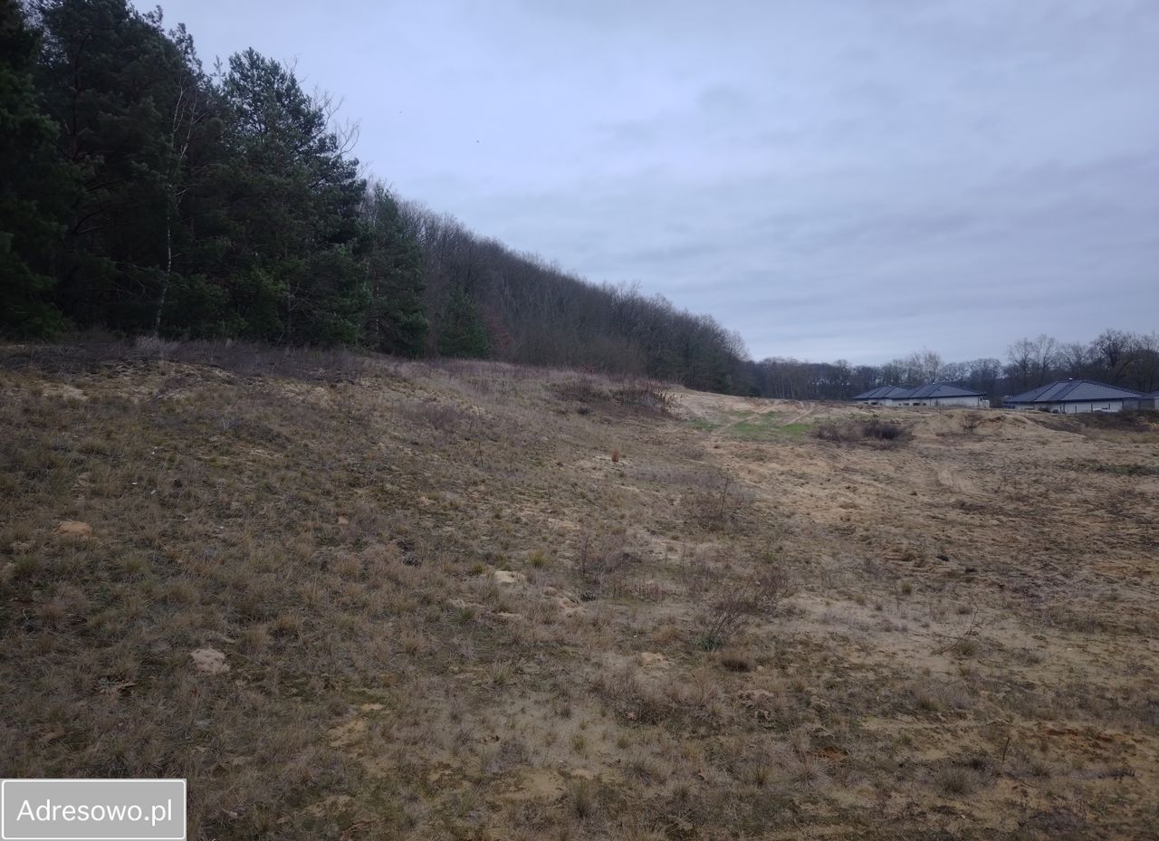 Działka budowlana Zamek Bierzgłowski, ul. Juliusza Słowackiego. Zdjęcie 9