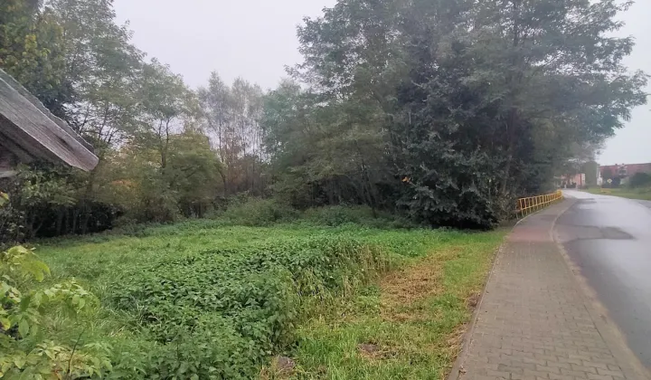 dom wolnostojący Świniary, Świniary