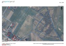 Działka siedliskowa Niekanin. Zdjęcie 1