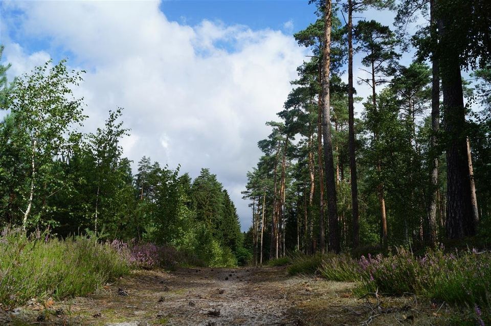 Biuro Niedalino. Zdjęcie 33