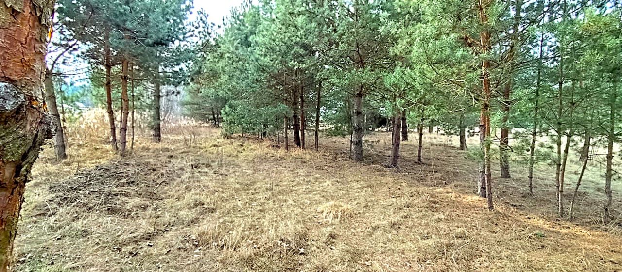 Działka rolno-budowlana Siemianówka Maruszka, ul. Łabędzia. Zdjęcie 6