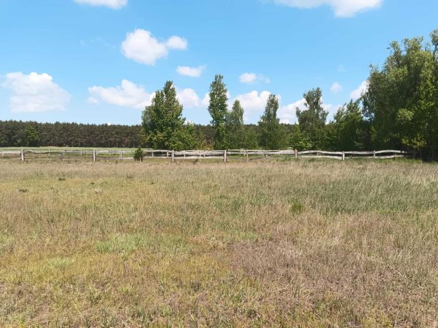 Działka budowlana Czarnylas. Zdjęcie 1