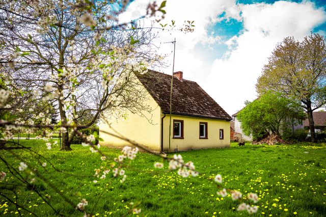 gospodarstwo, 2 pokoje Radosław. Zdjęcie 1