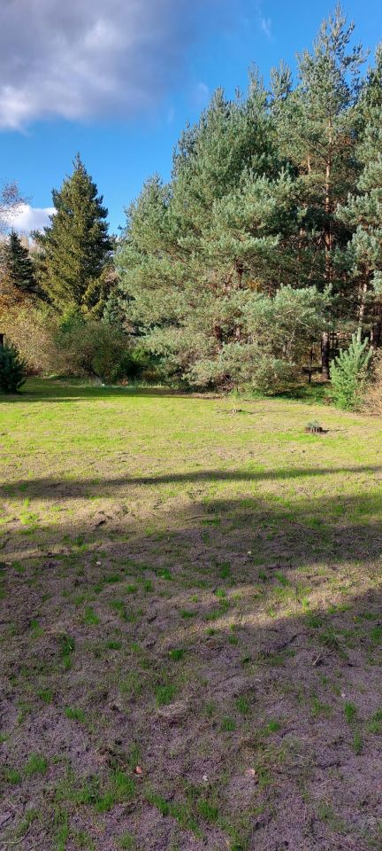 Działka rekreacyjna Morgi, ul. 25. Zdjęcie 4