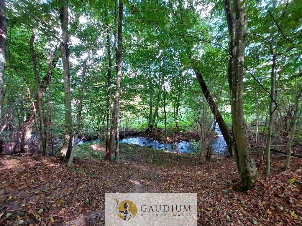 Działka Kobysewo, ul. Klasztorna. Zdjęcie 16