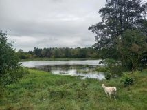 Działka Dzbądz. Zdjęcie 1