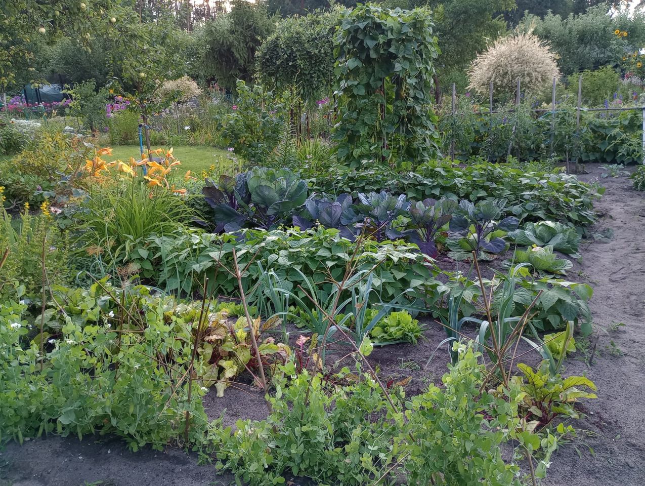 Działka rod Zielona Góra, ul. Osiedle Pomorskie. Zdjęcie 20