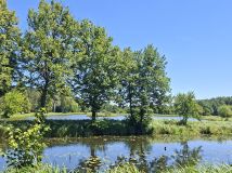 Działka leśna Jabłonowiec. Zdjęcie 1