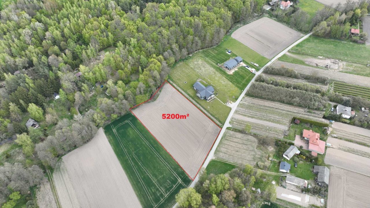 Działka rolna Wojciechów. Zdjęcie 1