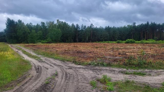 Działka budowlana Kosinowo. Zdjęcie 1