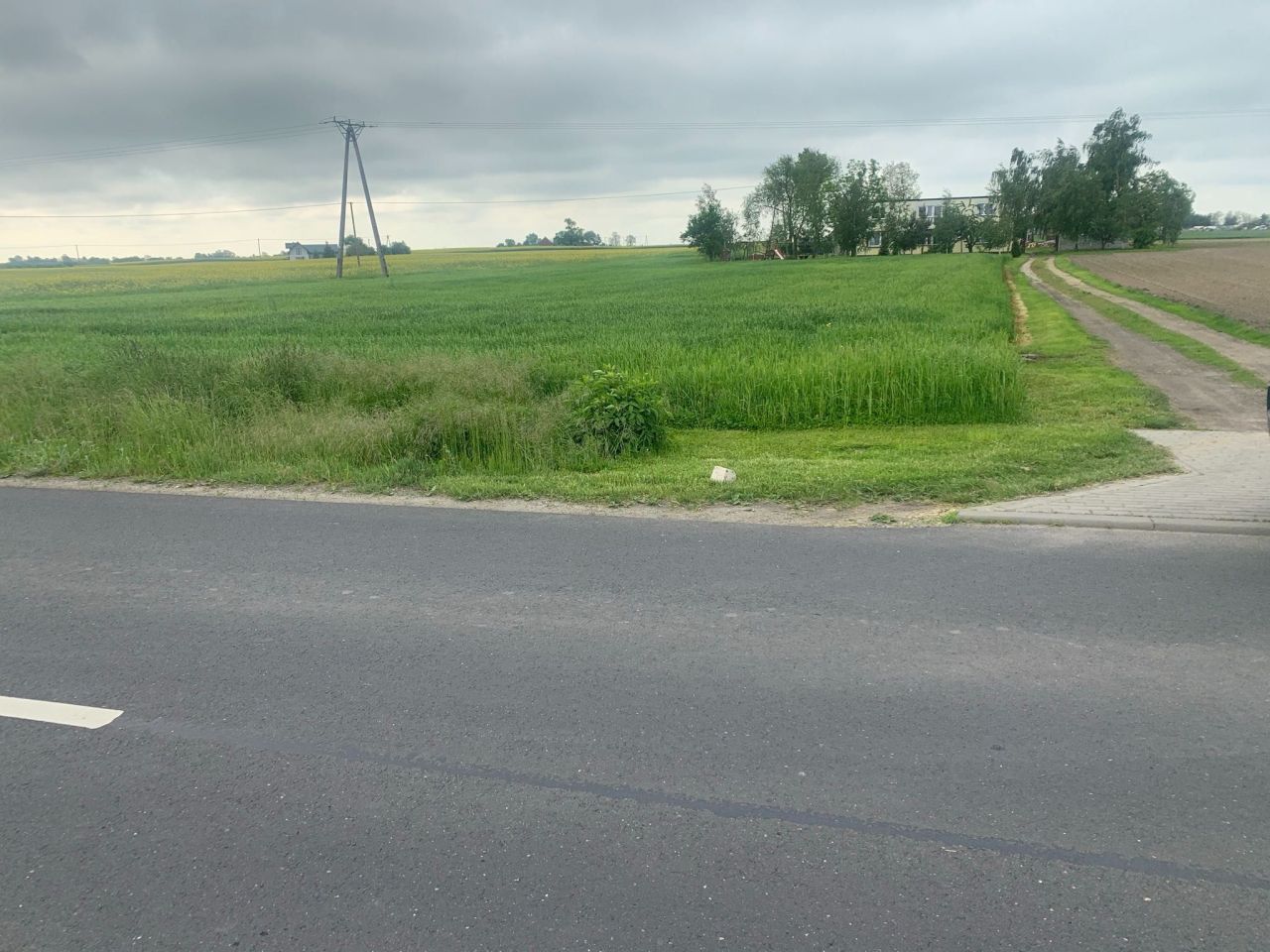 Działka rolno-budowlana Niemojewo. Zdjęcie 4