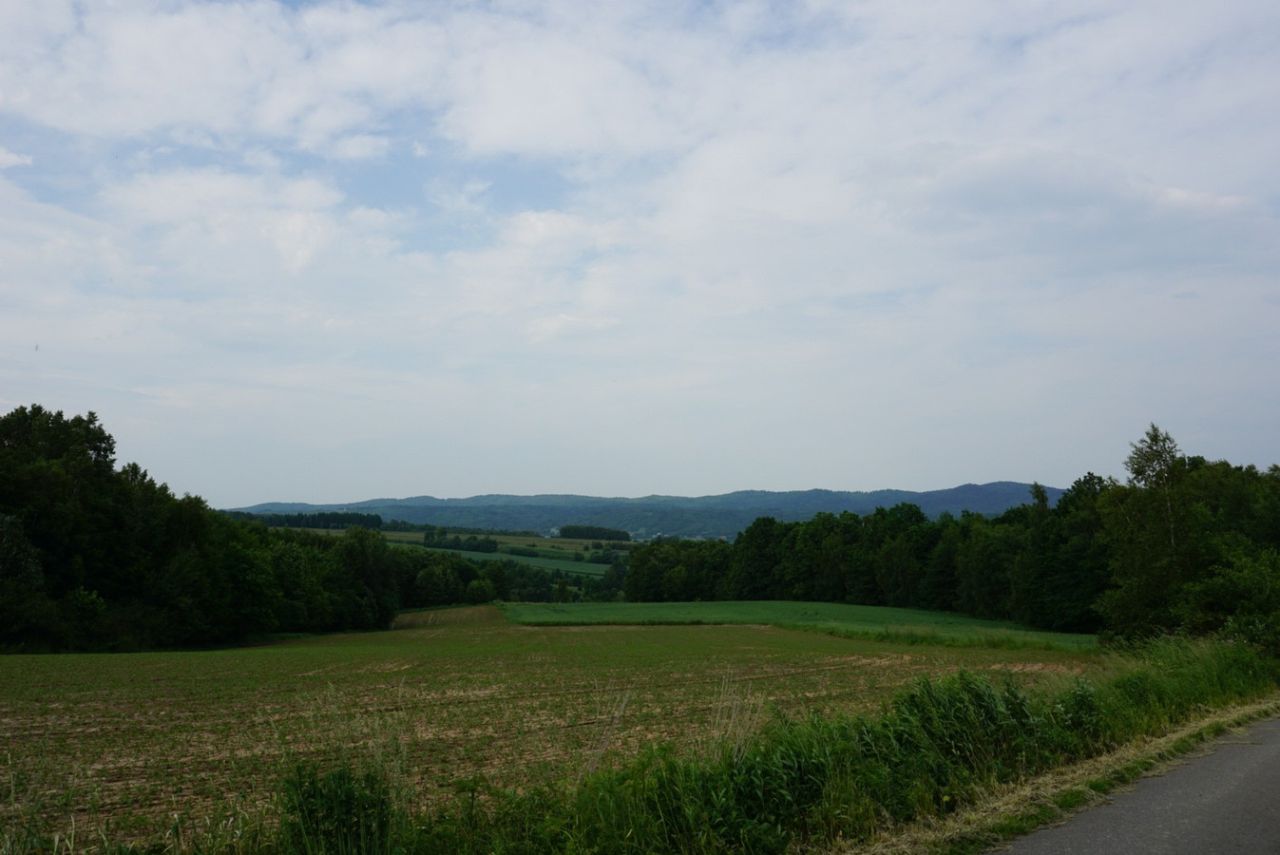 Działka budowlana Przybówka. Zdjęcie 11