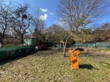 Działka rod Poznań Górczyn, ul. Romana Dmowskiego. Zdjęcie 2