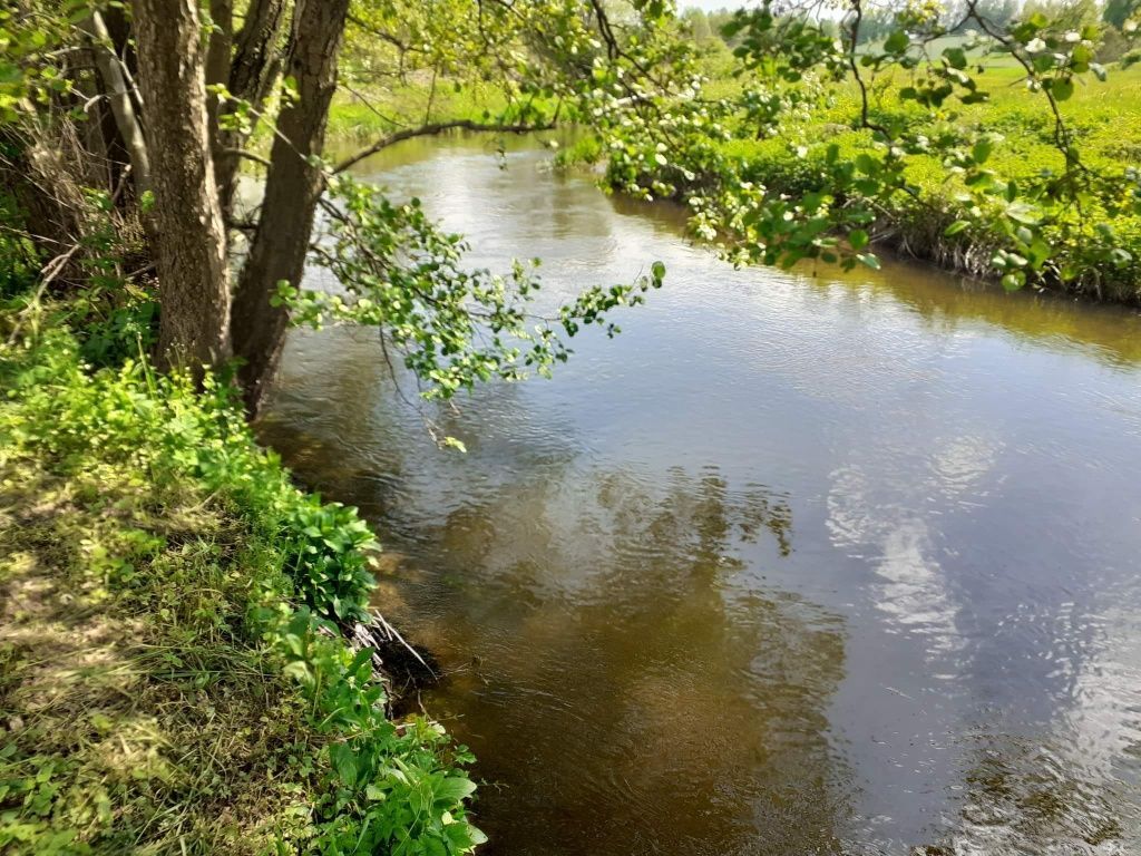Działka rolna Kuligi. Zdjęcie 3