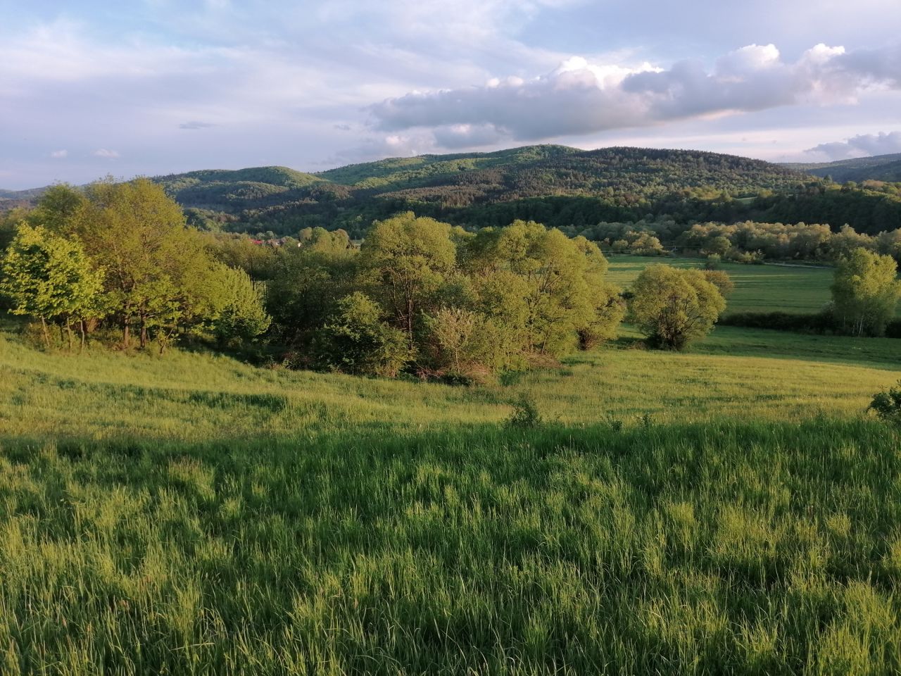 Działka rekreacyjna Rybotycze. Zdjęcie 33