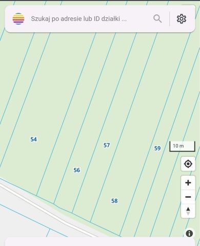 Działka leśna Potoczyzna. Zdjęcie 1