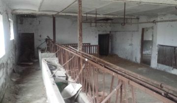 dom wolnostojący Biskupice