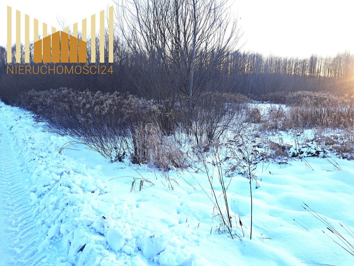 Działka budowlana Mrozy. Zdjęcie 4