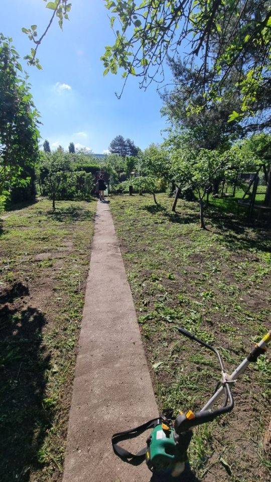 Działka rod Gliwice, ul. Marii Skłodowskiej-Curie. Zdjęcie 1