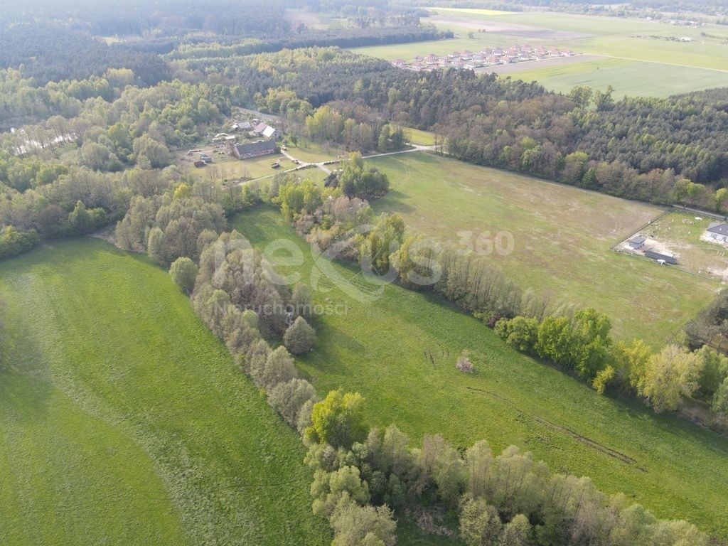 Działka Ostrowina. Zdjęcie 4