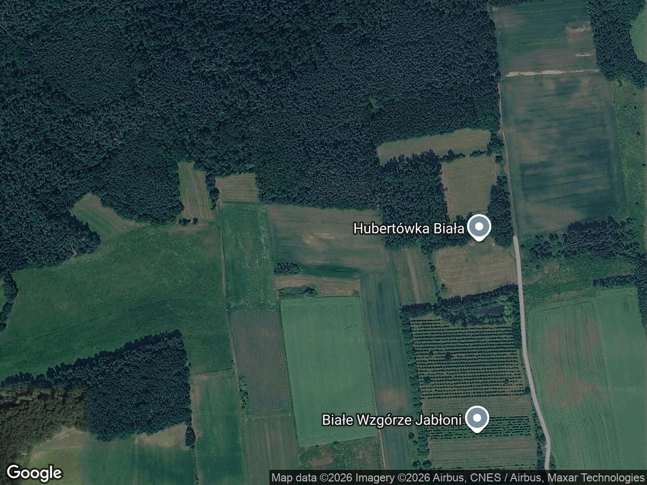 Działka rolna Biała. Zdjęcie 1