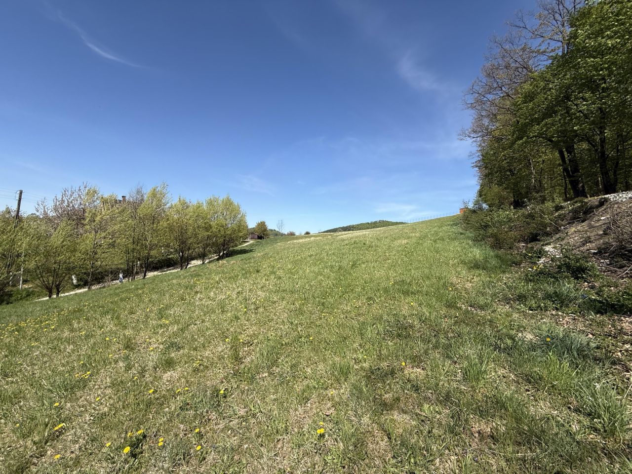 Działka budowlana Bystrzyca Kłodzka, Stary Waliszów. Zdjęcie 4