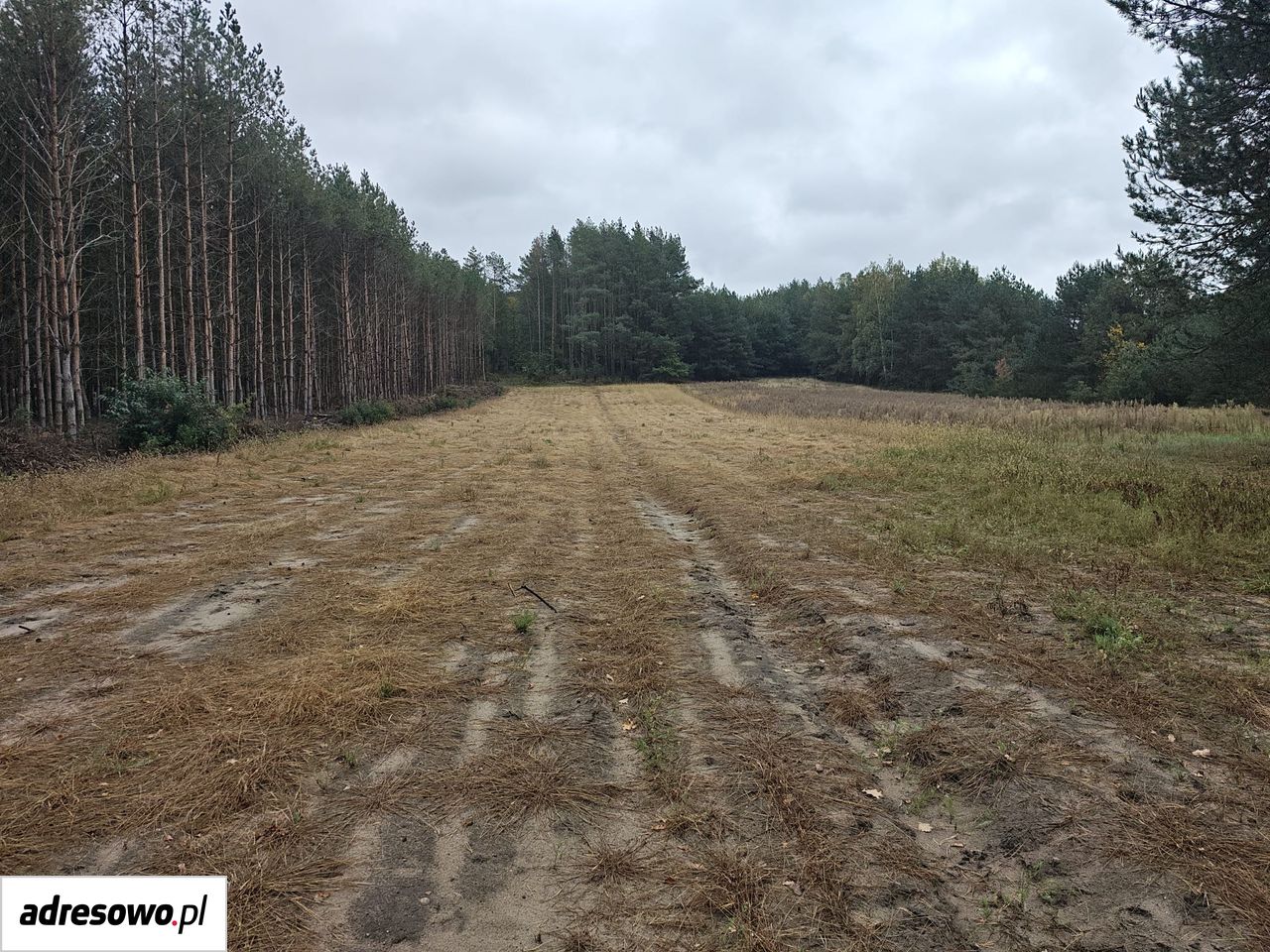 Działka budowlana Gapinin. Zdjęcie 9