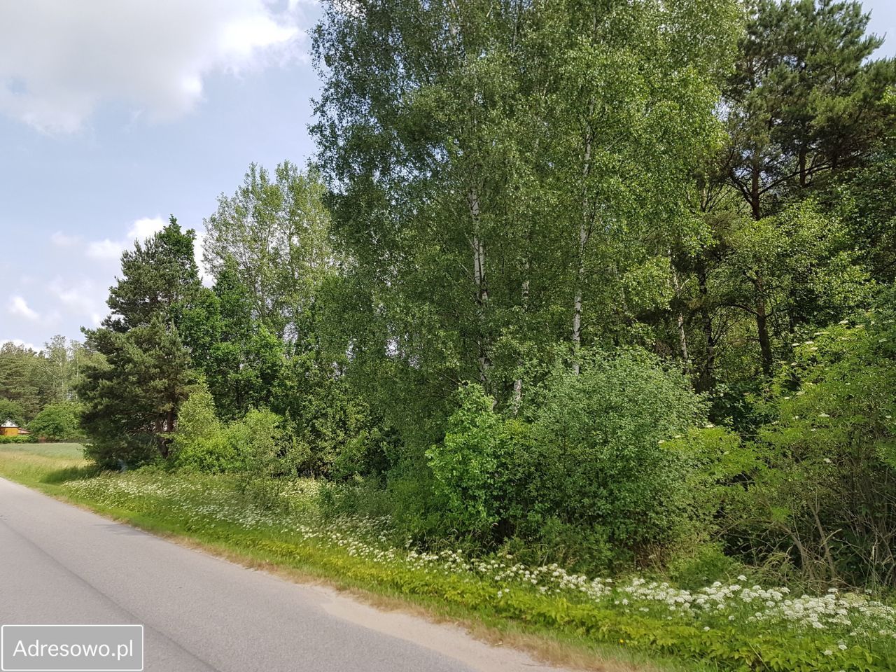 Działka budowlana Kontrewers. Zdjęcie 7