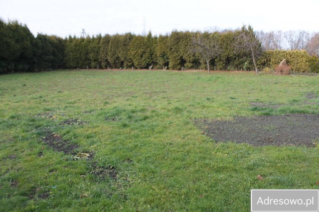 Działka rolna Czechowice-Dziedzice, ul. Zabiele. Zdjęcie 1