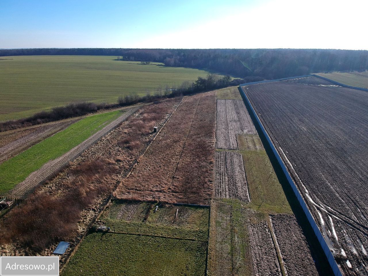 Działka rolno-budowlana Dobrosławów. Zdjęcie 2