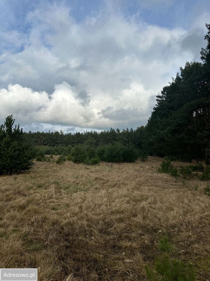 Działka rolna Baranówko. Zdjęcie 4