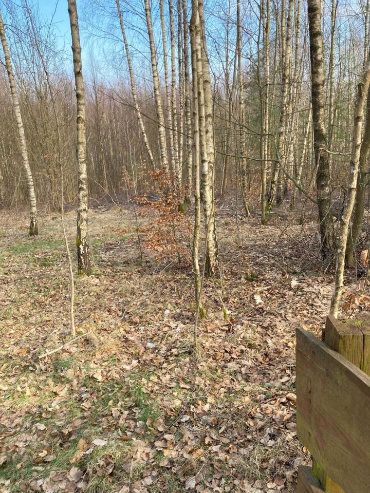 Działka siedliskowa Chrztowo. Zdjęcie 3