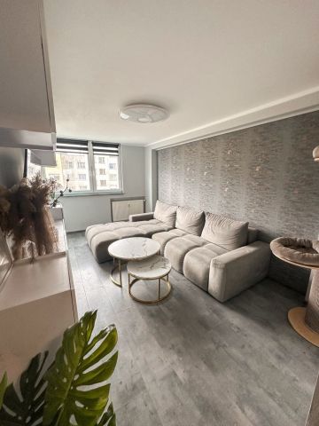 Mieszkanie 3-pokojowe Zgorzelec. Zdjęcie 1