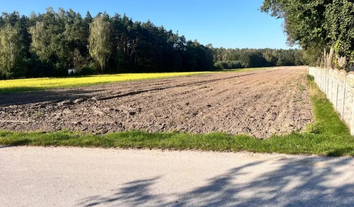 Działka budowlana Chorzewa