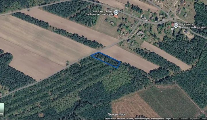Działka leśna Załęże