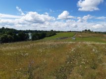 Działka rolno-budowlana Rogale. Zdjęcie 4